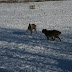 jan2009 1139.JPG