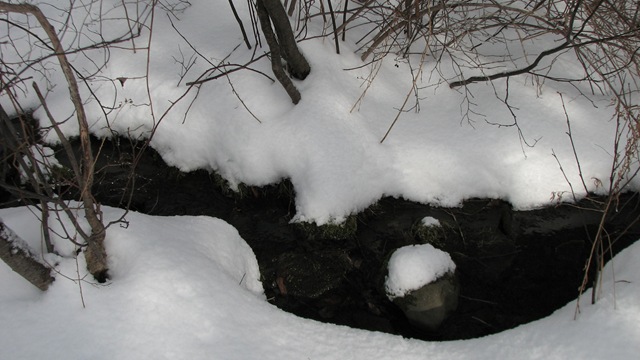 [up to Imbolc 2011 115[2].jpg]