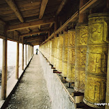 Global Nomad