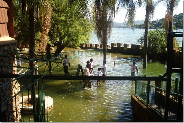 harties animal and snake park2 harties animal and snake park2