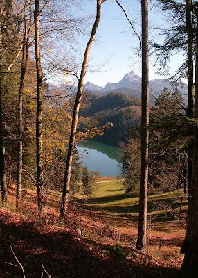 Alatsee