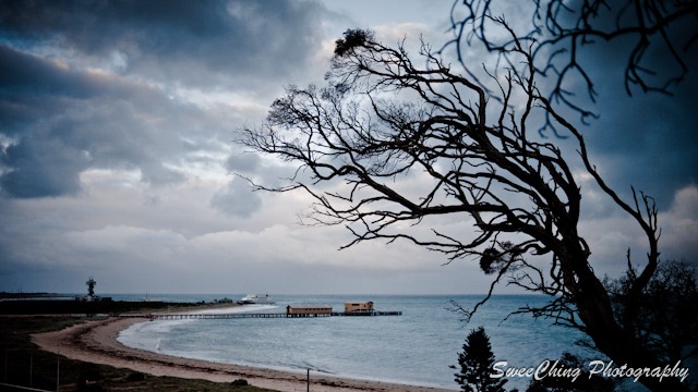 [P1100763_GF1[11].jpg]