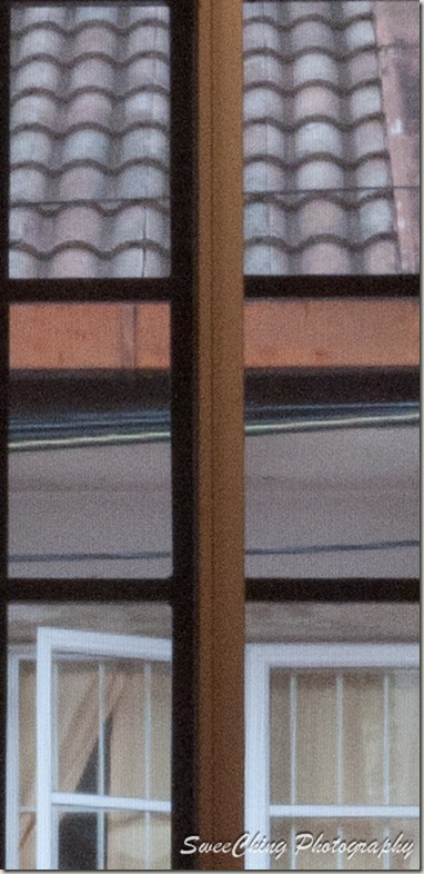 P1150301_GF1