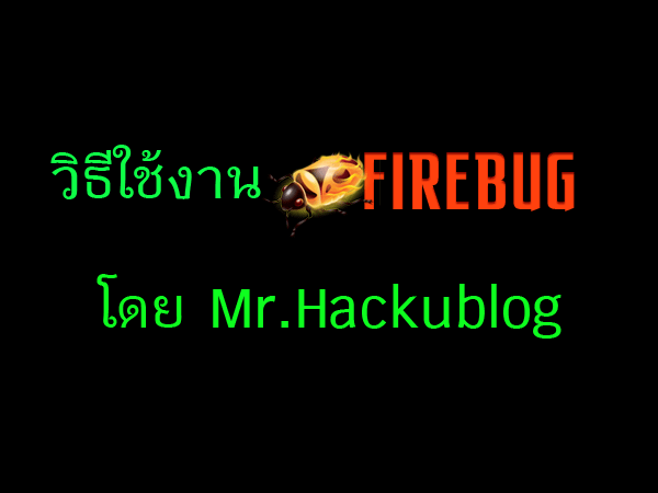 [Firebug[9].gif]