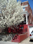 Fruehling-6.JPG
