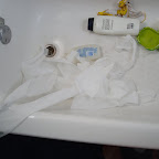 Little Man- Trail of Destruction 3.JPG