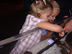 Georgia Aquarium-1.JPG
