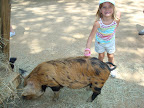 DSC03786.JPG