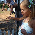 Pumpkin Patch-1.JPG