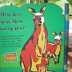 DSC03868-1.JPG