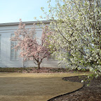DSC05263.JPG