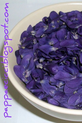 viole1