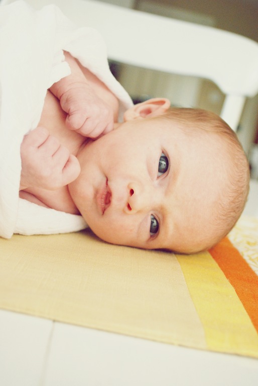 [DSC_0876(2)[2].jpg]