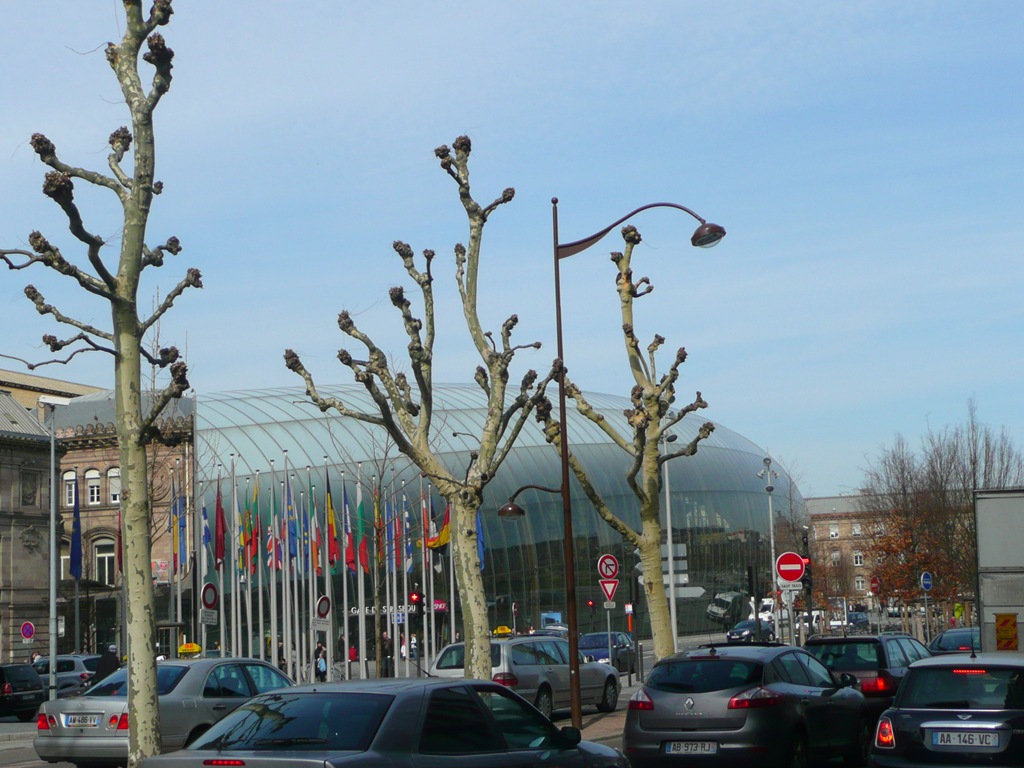 [201003180043.jpg]