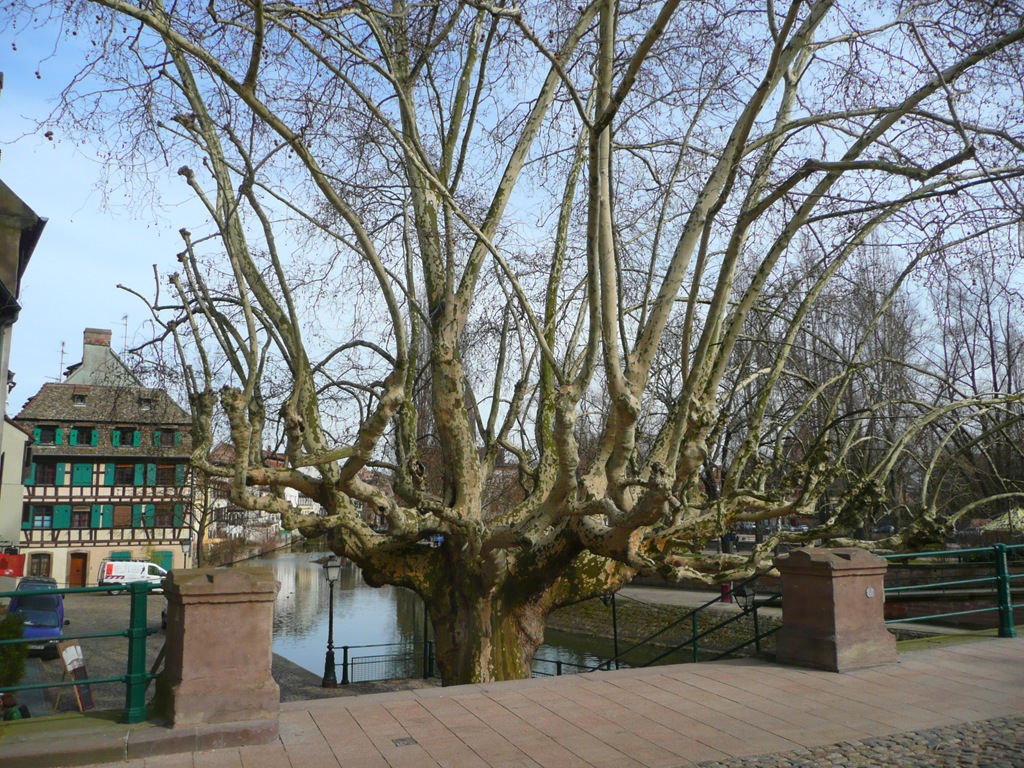 [201003180225.jpg]