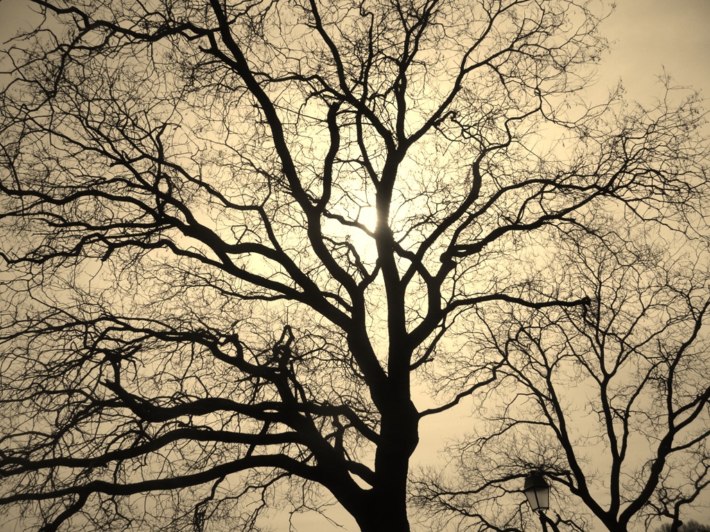 [201003180232.jpg]