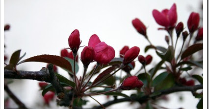 Here I Am, Are You (still) Here?