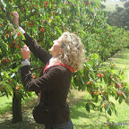 Chef-led journey through the Mornington Peninsula fourty three