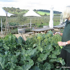 Chef-led journey through the Mornington Peninsula twelve