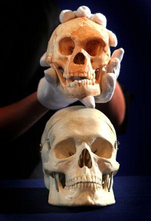 [Homo floresiensis[3].jpg]