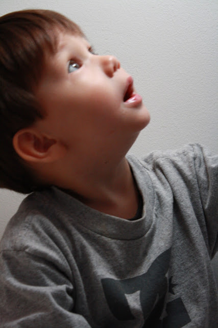 lisa leblanc