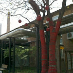 2011-04-16_10-58-03_678.jpg 2011-04-16_10-58-03_678.jpg