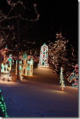 Dec. 2010 082