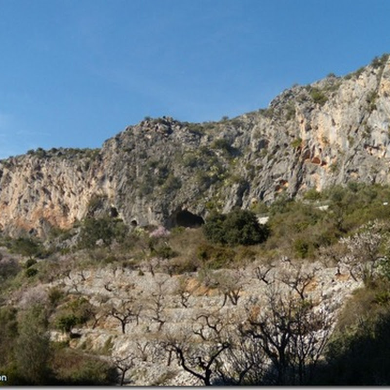 Rutas arqueológicas por Alicante: CONJUNTO DE ARTE RUPESTRE DE PLA DE  PETRACOS (Castell de Castells)