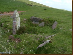 Dolmen del collado de Artzamendi Dolmen del collado de Artzamendi