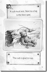 cubnap