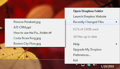 drop any files on the Dropbox folder to make it accessible online