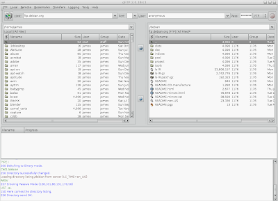 gFTP main screen