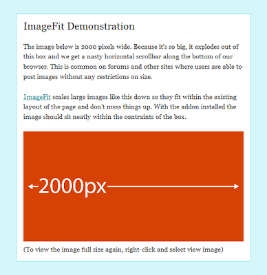 Automatically Resize To Fit Large Images In Websites With ImageFit