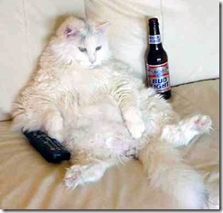 lazy_cat