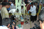 pouring milk pouring milk