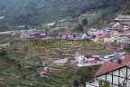 View of Kea Farms, next to Equatorial View of Kea Farms, next to Equatorial