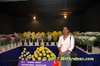 surrounded by flowers surrounded by flowers