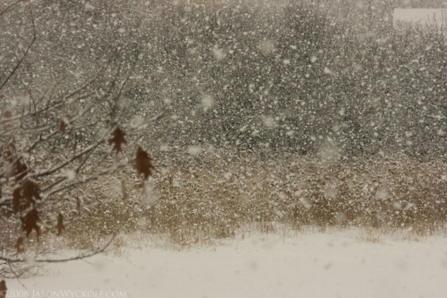 [20081224_Snow!_0178[3].jpg]