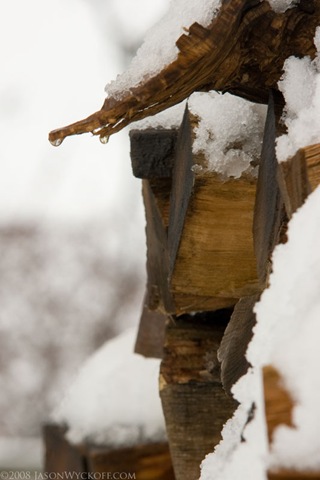 [20081224_Melting Snow on Firewood_0182[3].jpg]