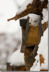 Melting Snow on Firewood