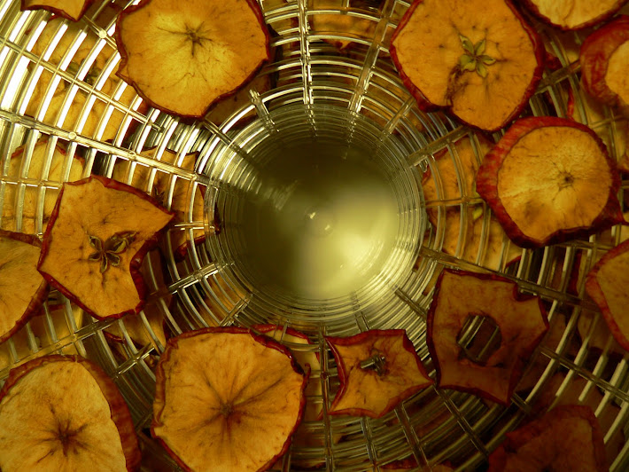 shrunken apple on the dryer