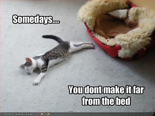 [bedtime[1].png]