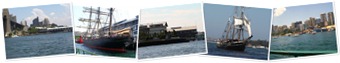 View Darling Harbour 17Dec2009