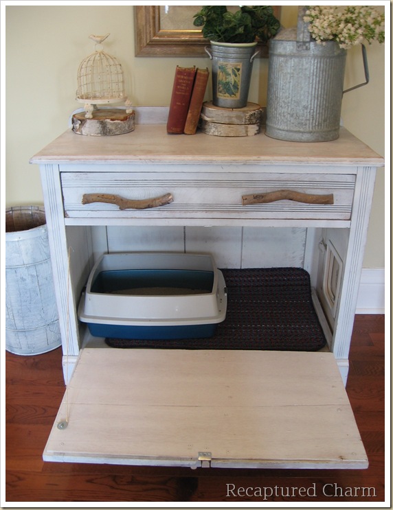 Cat Litter Box For Old Cat Cat Litter Box For Old Cat
