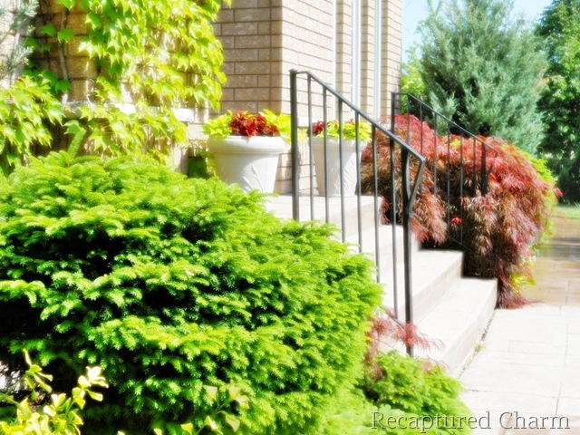 [backyard and tires 012a[10].jpg]