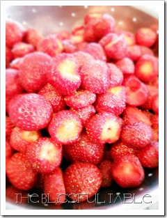 Strawberry Lemon Jam 004