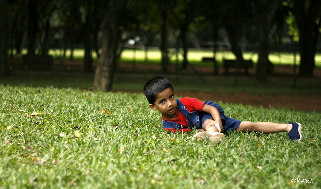 IMAGE: http://lh5.ggpht.com/_u_AgNyW8pm8/TIQGtkiSwsI/AAAAAAAAAXw/V8JGMr1Ts8M/s1024/kuttan3.jpg