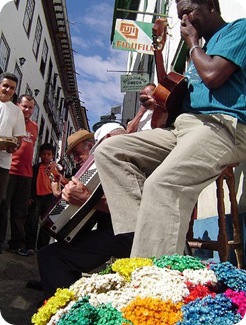 beco tecla flores