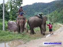 Tailandia 2004