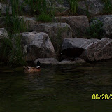 100_0285.jpg